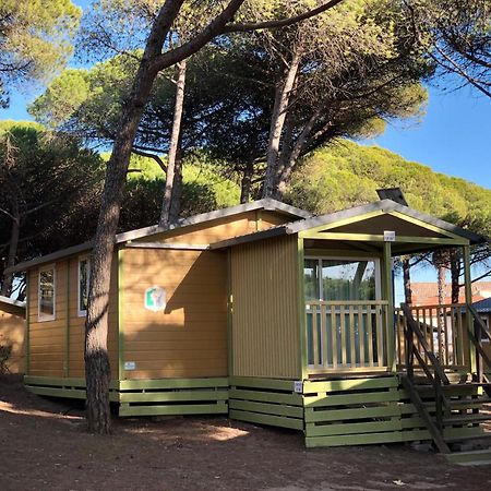 Camping La Tamarissiere Агд Экстерьер фото