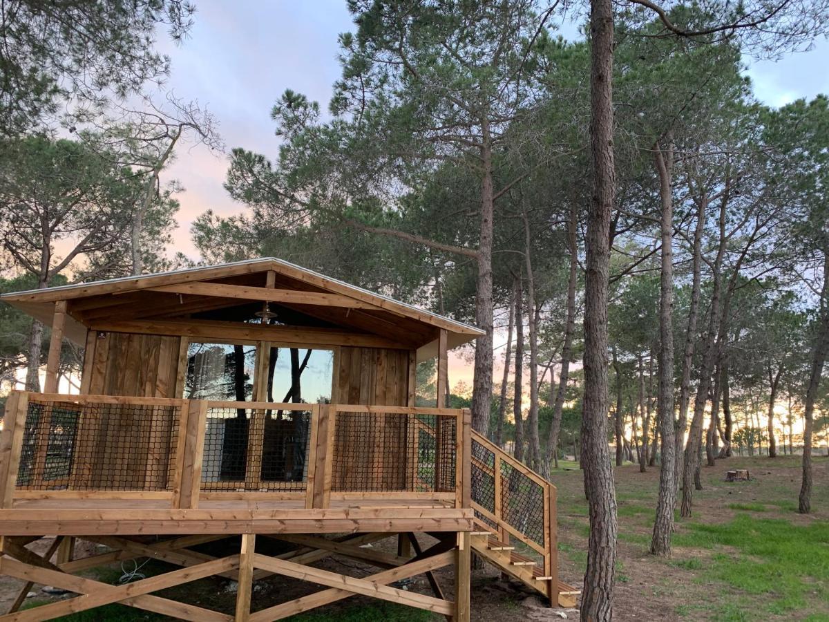 Camping La Tamarissiere Агд Экстерьер фото