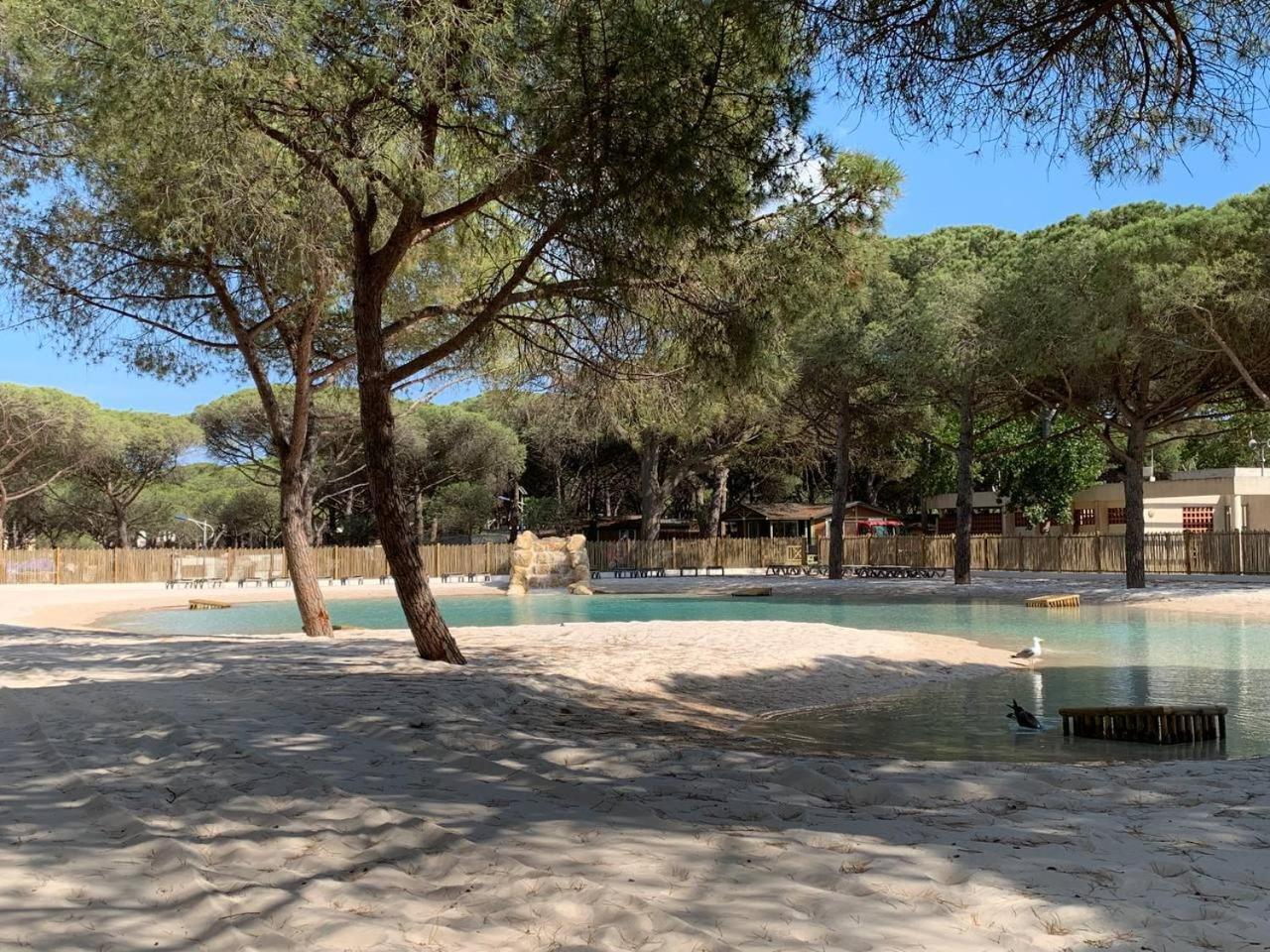 Camping La Tamarissiere Агд Экстерьер фото